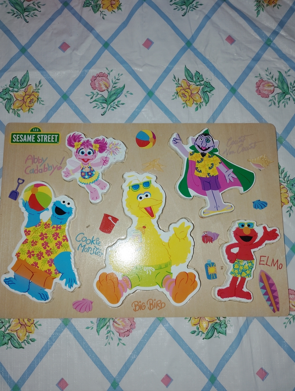 Sesame Street Characters Puzzle - Beach Fun Elmo Big Bird Cookie Monster